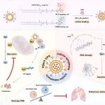 Biomaterials：新型工程化双特异性嵌合脂质体基纳米PROTACs可靶向降解己糖激酶2以增强肿瘤化疗