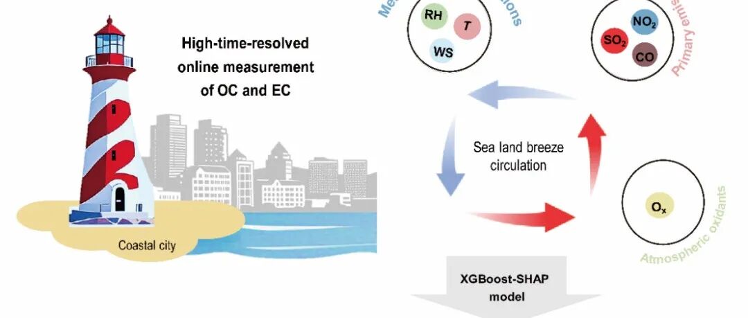 Geosci. Front. | 中国北方典型沿海城市碳质气溶胶污染特征及驱动因素研究