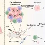 Nano Today | 复旦大学周竹超等团队研究发现一锅溶剂热法合成 PE/CTS 纳米材料用于光热免疫治疗