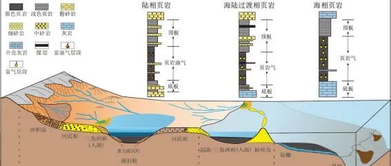 地球科学|邹才能院士文章：中国海陆过渡相页岩气形成、潜力与挑战