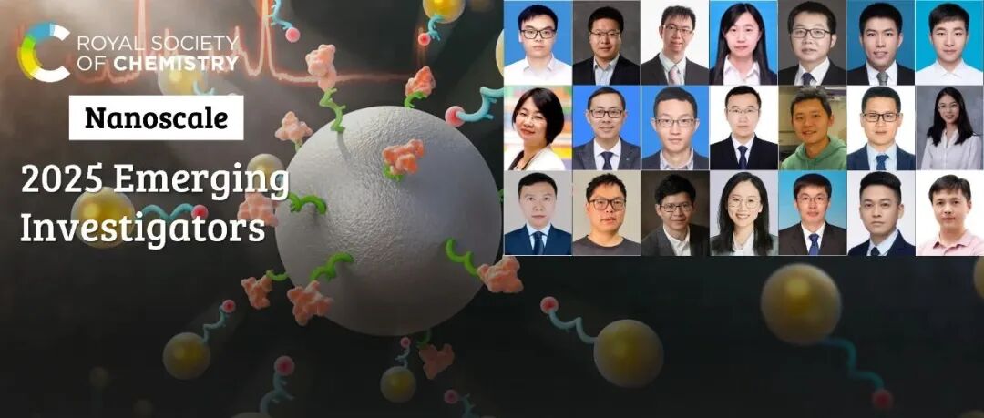 祝贺 2025 Nanoscale 新锐科学家专辑入选作者（1）