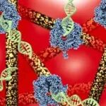 Nano Today | 东南大学赵祥伟等团队研究发现宽带吸收等离子体织物PCR试纸用于病原体POCT