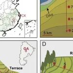 PNAS | 南京农业大学汪鹏研究发现水稻土壤中微生物砷甲基化和去甲基化之间的平衡是全球砷风险和水稻直发病的基础