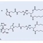 Bioact Mater丨西湖大学程钢等团队研究发现天然来源的脂肽脂质纳米颗粒平台可实现多种核酸的递送