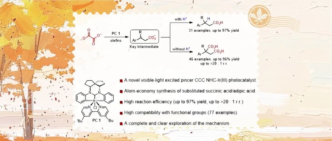【SCC】上交涂永强院士/丁同梅助理研究员：螺环-NHC-Ir(III)光催化剂系统催化的烯烃与草酸盐的单羧化和二羧化反应