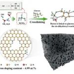 中国地质大学《ACS AEM》：高硼掺杂多层多孔碳材料，用于高性能超级电容器