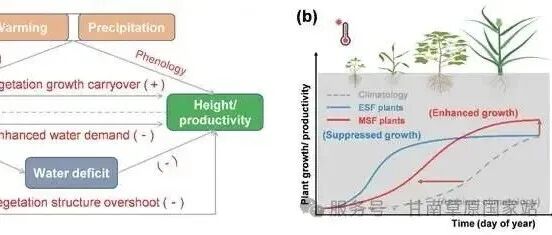 Journal of Ecology | 兰州大学科研人员发现高寒植物物候调节不同开花功能群植物生长速率以及生物量生产力