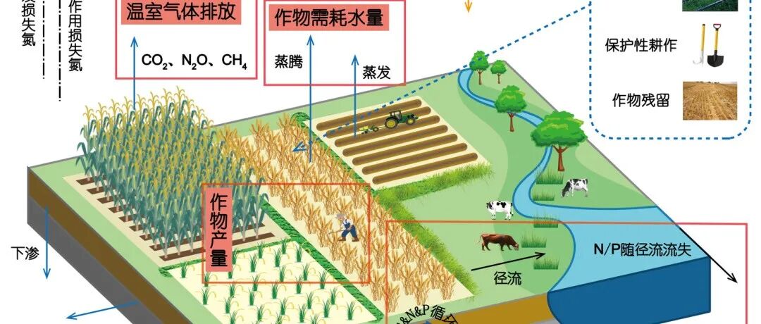 区域尺度作物生长及伴生过程模型研究进展