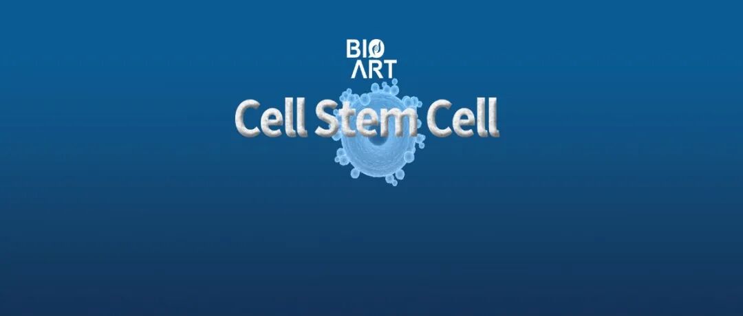 Cell Stem Cell | 成人海马神经发生的影响因素