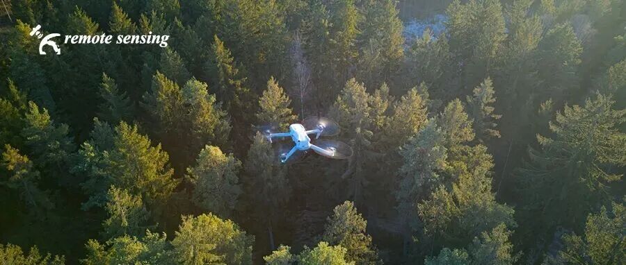 德国航空航天中心：用UAV-SfM数据和深度学习对密林中倒伏的枯木进行精准测绘 | MDPI Remote Sensing