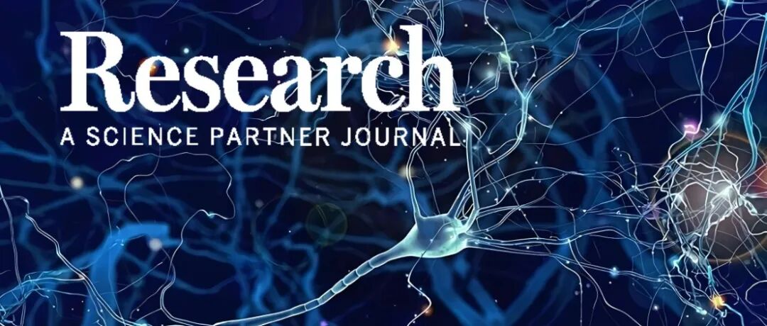 Research|用于可解释溶剂化吉布斯自由能预测的分子融合超图神经网络