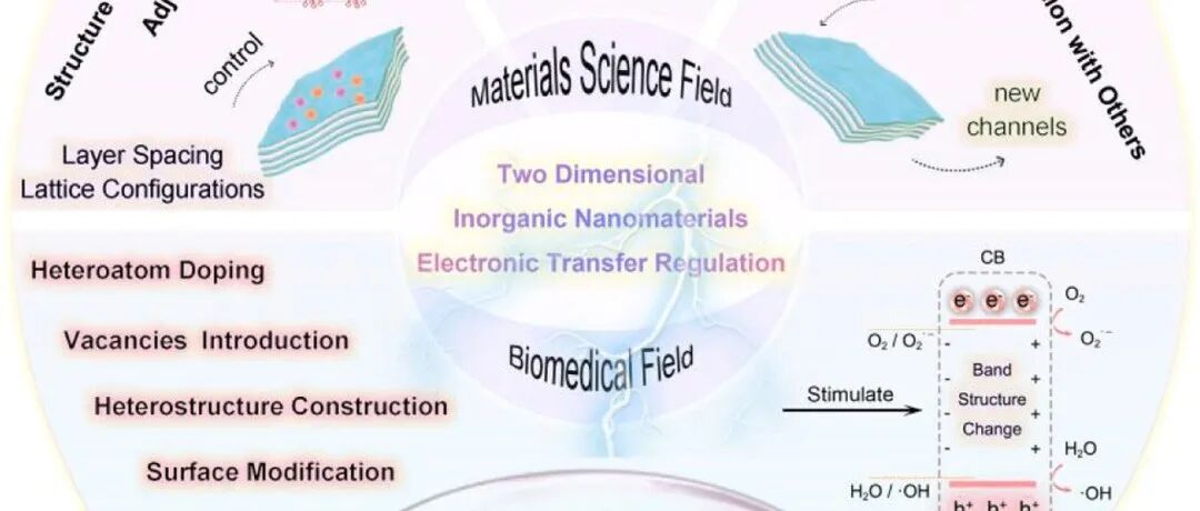 【Nano Today】调节二维纳米材料中的电子转移特性以提高治疗效果