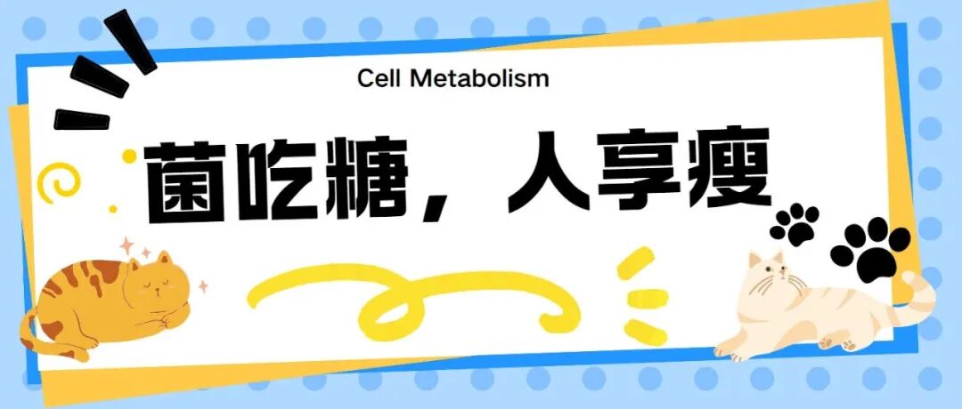 Cell Metabolism：菌吃糖，人享瘦