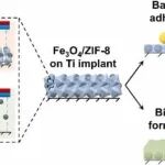 Nano Today | 北京大学郑玉峰等团队研究发现磁驱动pH响应Fe&#8323;O&#8324; ZIF-8涂层用于植入物生物膜防治