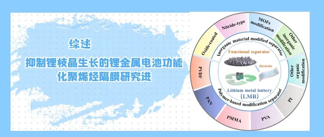 综述：抑制锂枝晶生长的锂金属电池功能化聚烯烃隔膜的研究及应用