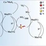 华中科技大学Funmat课题组胡敬平团队CEJ：再生钴修饰二硫化钼纳米片强化过硫酸盐活化
