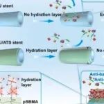 Bioact Mater丨华南理工大学宁成云等团队研究发现用于输尿管支架的强水合两性离子多功能涂层可抑制感染性结痂