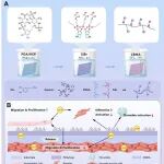 苏大李刚、附四院张喜成团队 Biomacromolecules: 抗凝血和促内皮化功能的血管覆膜支架
