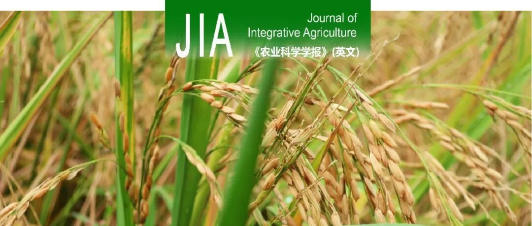 JIA | 安徽农业大学陈雨教授团队在藤仓镰刀菌对杀菌剂三氟吡啶胺的抗性风险及抗性分子机制方面取得新进展