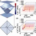 (纯计算)山东大学牛成旺/戴瑛团队Nano Lett.: 二维Chern铁磁体V2WS4单层中拓扑磁振子绝缘体的预测