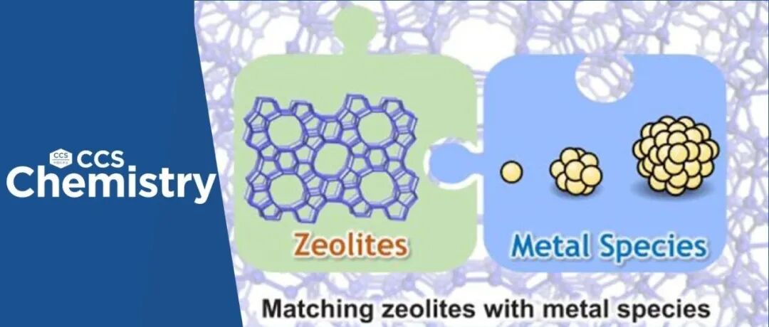 【CCS Chem.】浙江大学肖丰收/王海团队:高效分子筛-金属催化剂