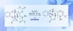 【Org. Lett.】广西师大王芳昕/王恒山课题组：双吲哚生物碱Myrindole A的全合成研究
