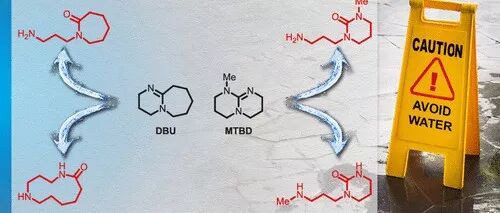 Underappreciated Hydrolytic Instability of DBU