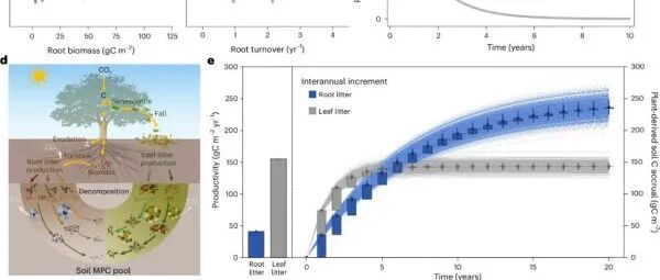 Nature Geoscience | 地理所寇亮研究组揭示北半球森林最细根对土壤碳累积的长期贡献