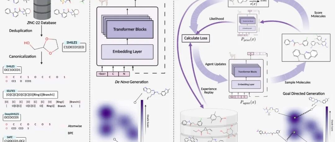 arXiv｜NovoMolGen：重新思考分子语言模型预训练