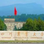 祝贺！四川农业大学79名学者