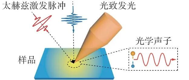 精准“拿捏”声子：从格波量子角度破解能量输运的“调控密码”