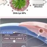 Nano Today | 温州医科大学沈建良等团队研究发现一种多阶段microRNA纳米疗法用于治疗细菌性角膜炎的纤维化