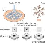 研究前沿：上海科技大学 马延航，手性纳米晶-三维电子衍射 | Nature Chemistry