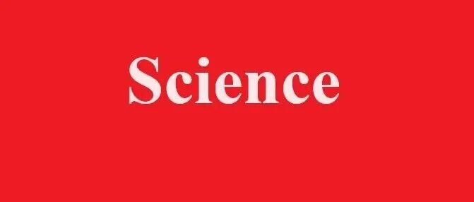 天大《Science》：利用率逼近100%！实现这个领域重大突破