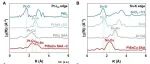 天津大学最新Science