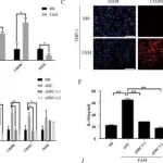 Adv Sci丨大连医科大学袁予辉等团队研究发现靶向SRC-1/STAT1/MMP12轴可体内减弱神经周围浸润