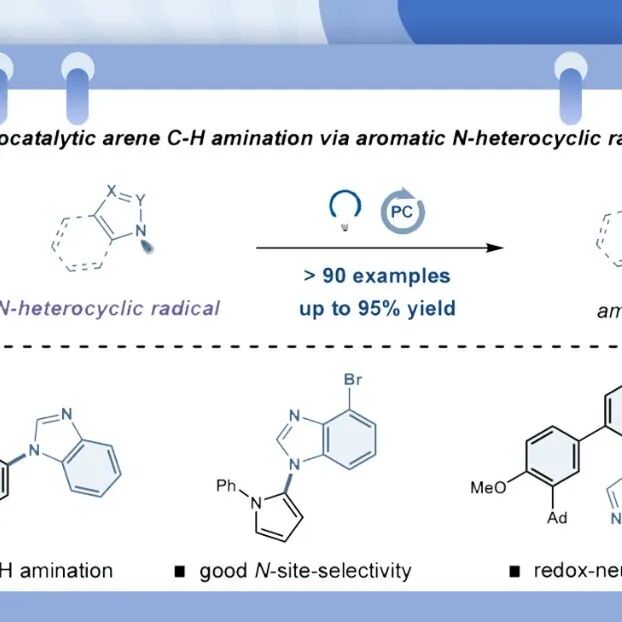 【ACS Catal.】国科大杭高院张夏衡实验室：利用芳香氮杂环自由基实现芳环碳氢胺化反应