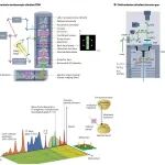 研究进展：激光驱动超快 透射电镜UTEM | Nature Reviews Methods Primers