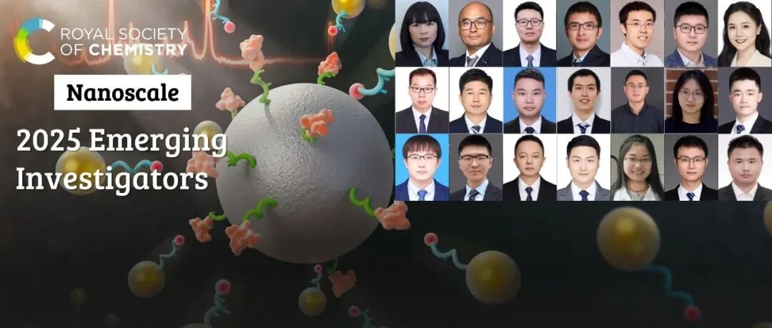 祝贺 2025 Nanoscale 新锐科学家专辑入选作者（2）