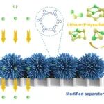 扬州大学朱荣妹副教授等人在Advanced Science发表锂硫电池（LSBs）方面进展