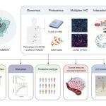 J Adv Res｜暨南大学张志毅团队发文揭示KRAS G12突变肺腺癌蛋白质组学特征