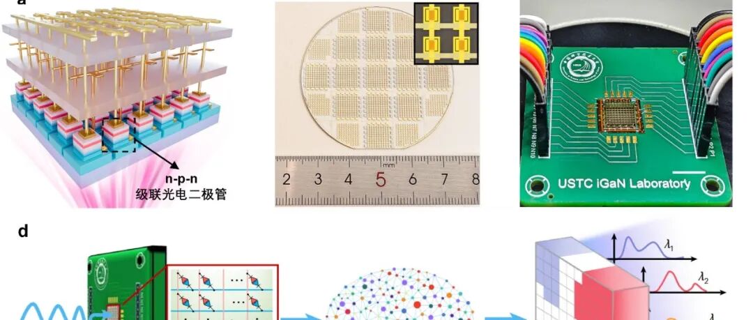 中国科学技术大学：微型化紫外光谱仪芯片 | Nature Photonics