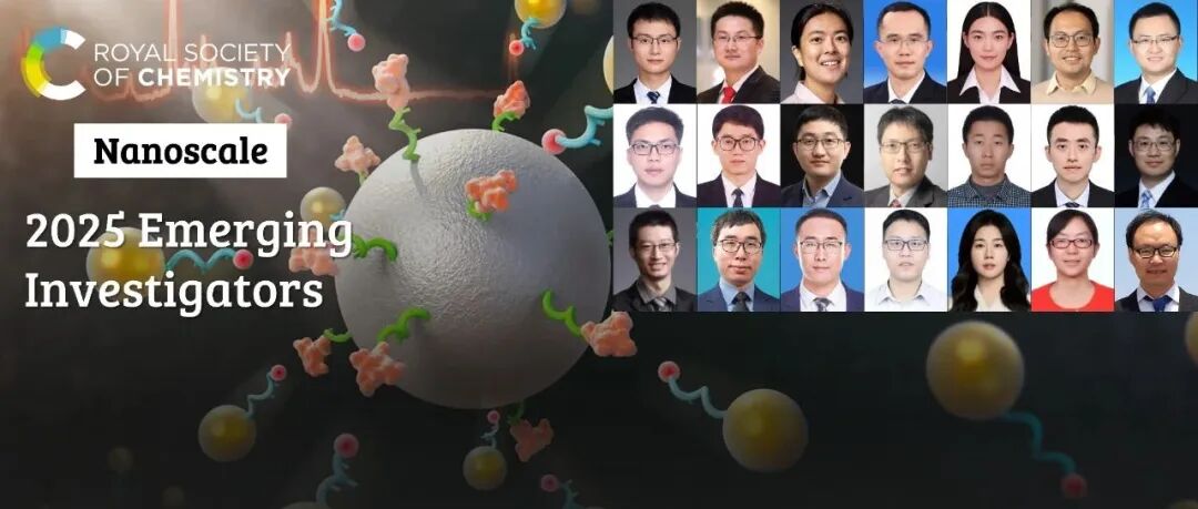 祝贺 2025 Nanoscale 新锐科学家专辑入选作者（3）