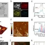 Nat Commun | 北京航空航天大学樊瑜波等团队研究发现GDYO@Pt 的肖特基工程增强压电和氧化应激调节加速颅骨再生