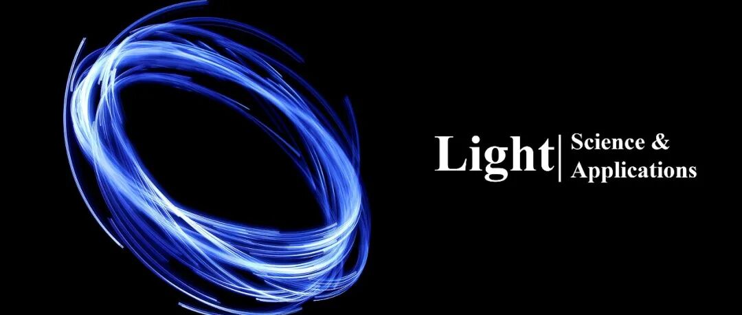 雷党愿团队 Light | 超紧凑等离激元纳腔实现洛伦兹力驱动的二次谐波发射