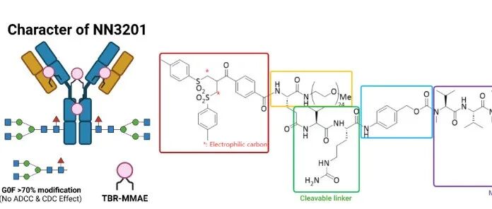 韩国Novelty Nobility发表c-Kit-ADC药物NN3201的作用机制