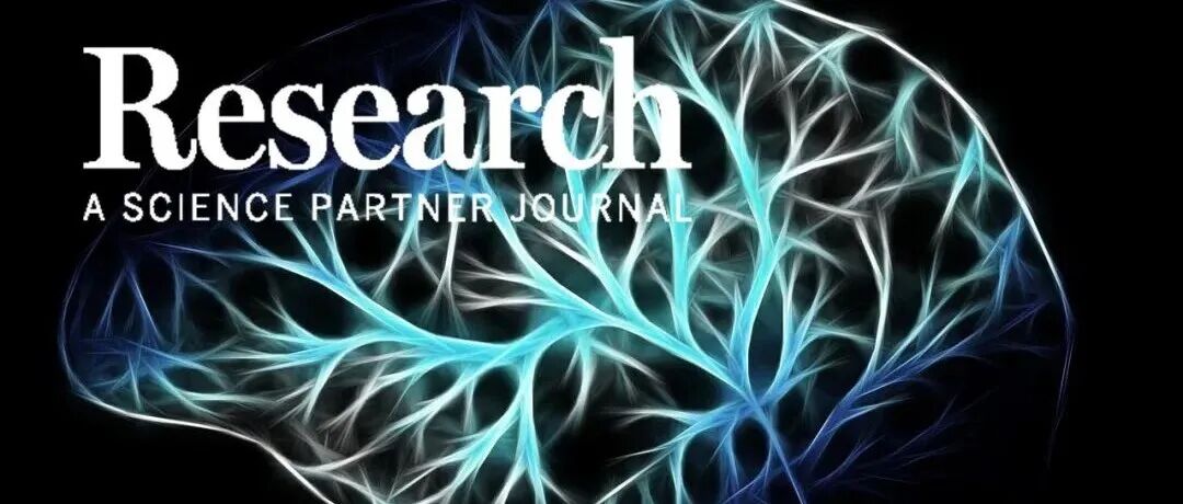 Research|超声功能成像：在意识障碍脑功能评估中的应用前景