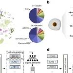Nature Methods | 清华大学江瑞研究发现EpiAgent单细胞表观基因组学基础模型