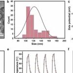 Nano Today | 中国科学院师晓丽/孟彦彬研究发现光热免疫纳米疫苗血管周围输送增强乳腺癌免疫