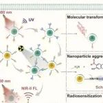 Nano Today | 北京化工大学宋继彬等团队研究发现近红外光诱导镧系纳米粒子增强放射增敏与肿瘤治疗监测